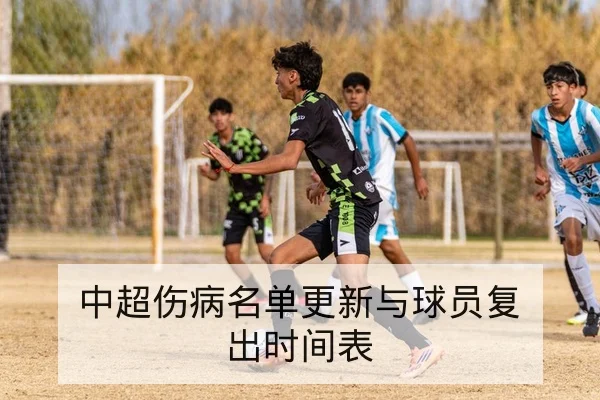中超伤病名单更新与球员复出时间表